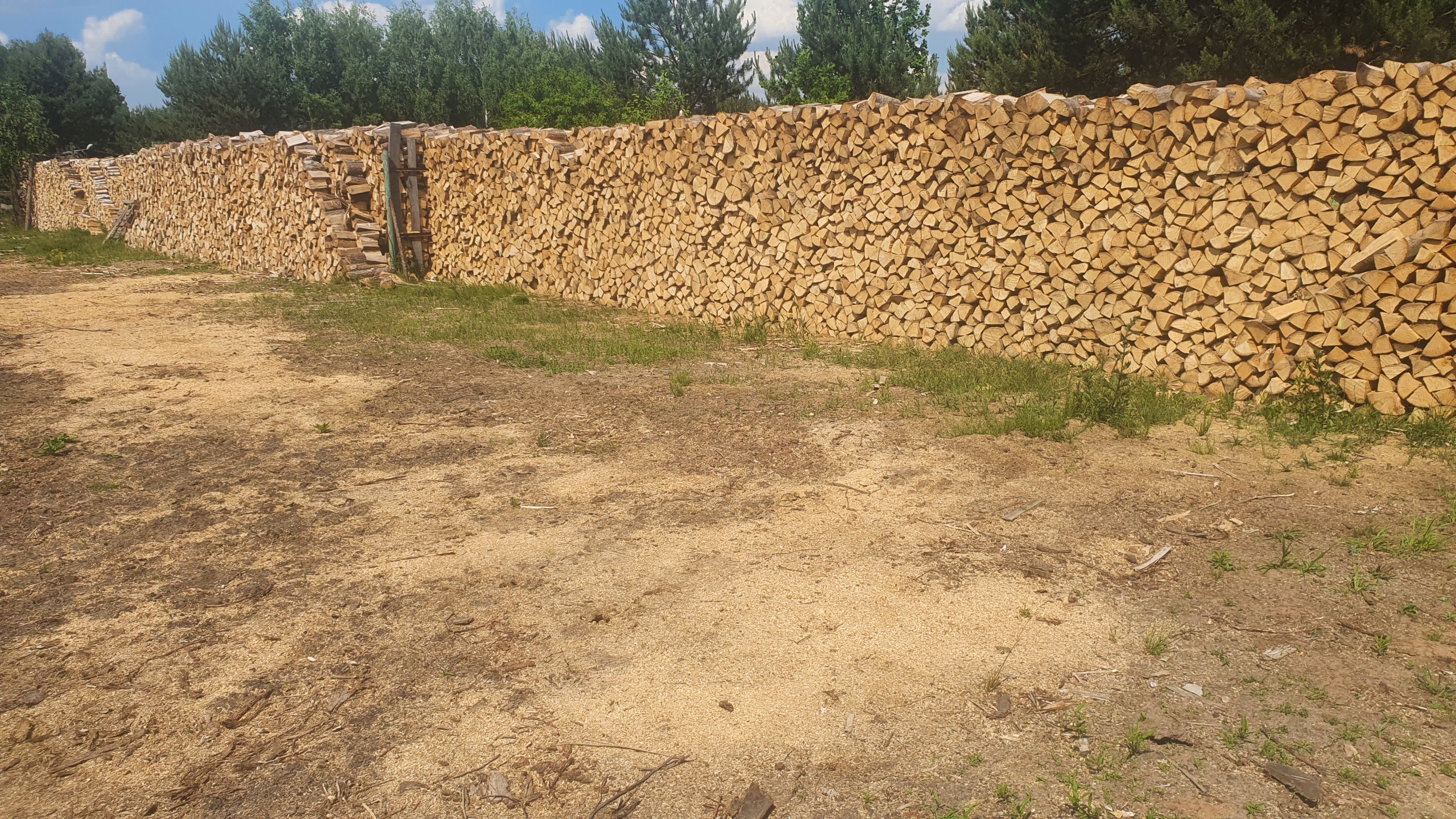 SUCHÉ TVRDÉ palivové drevo/palivové drevo Legionowo, Serock, Pułtusk 300 PLN